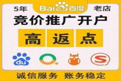 SEM托管服务成功案例：让广告投放更精准、更高效